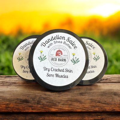 Dandelion Salve