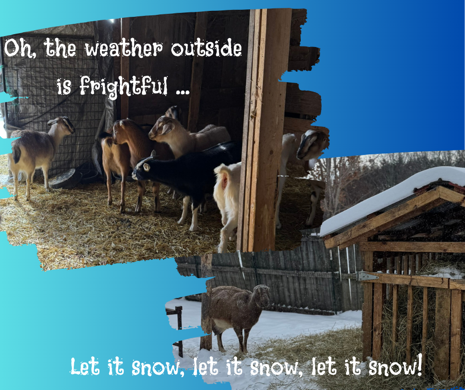 Oh the weather outside is frightfull …