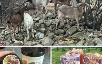 Why goat milk is so good for your skin